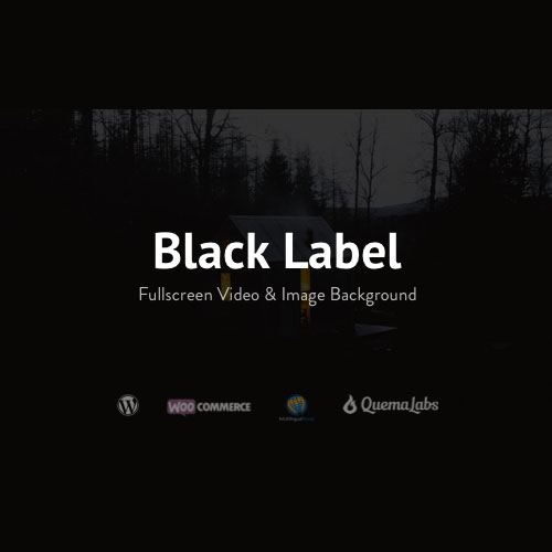 Black Label Fullscreen Video & Image Background 4.0.14