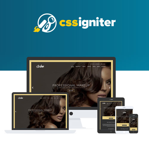 CSS Igniter Salon WordPress Theme 1.8.7