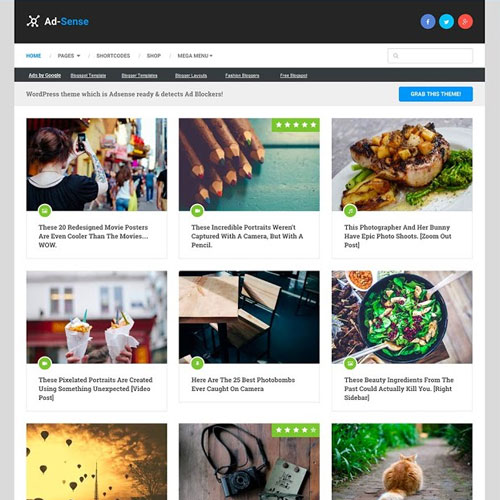 MyThemeShop Ad-Sense WordPress Theme 1.4.4