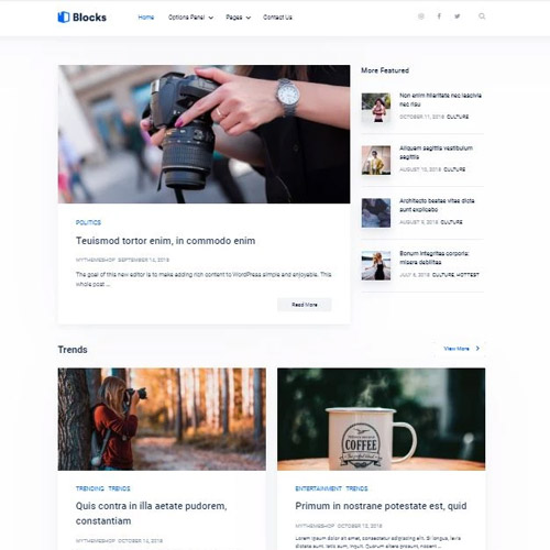MyThemeShop Blocks WordPress Theme 1.1.0