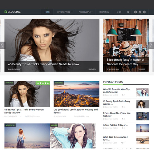 MyThemeShop Blogging WordPress Theme 3.1.10