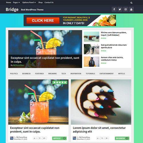 MyThemeShop Bridge WordPress Theme 1.1.5