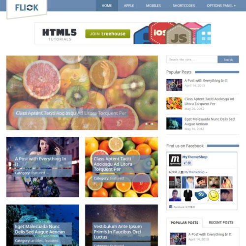 MyThemeShop Flick WordPress Theme 1.1.2