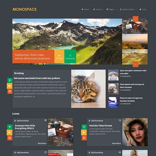 MyThemeShop Monospace WordPress Theme 1.9.1