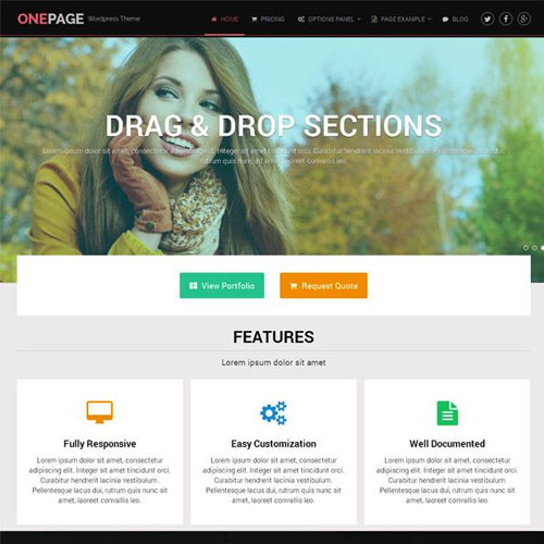 MyThemeShop OnePage WordPress Theme 1.2.7