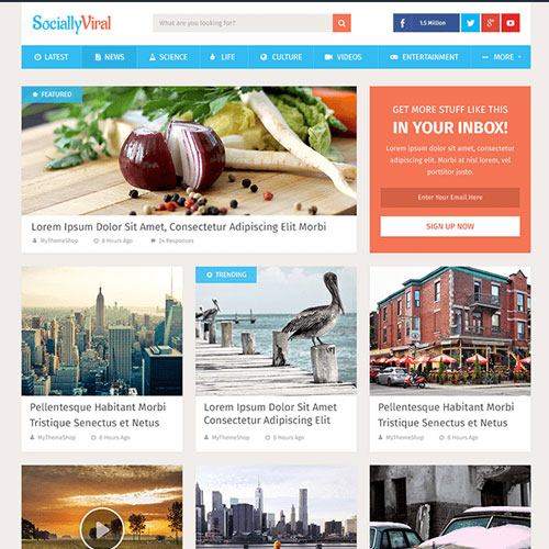 MyThemeShop SociallyViral WordPress Theme 2.4.9