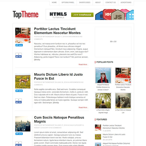 MyThemeShop Top WordPress Theme 1.2.1